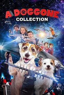 Muhteşem Köpek - A Doggone