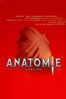 Anatomi poster