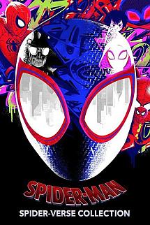 Spider-Man: Spider-Verse poster