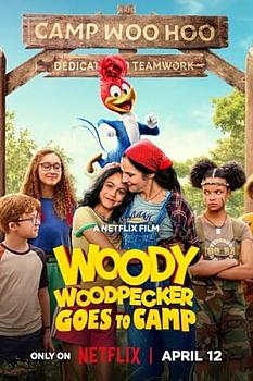 Ağaçkakan Woody Yaz Kampında