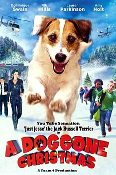 Muhteşem Köpek