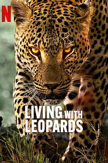 Leoparlarla Yaşam izle