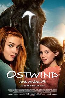 Windstorm 4: Ari'nin Gelişi izle
