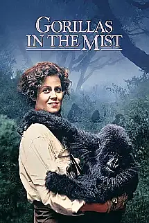 Sisteki Goriller izle